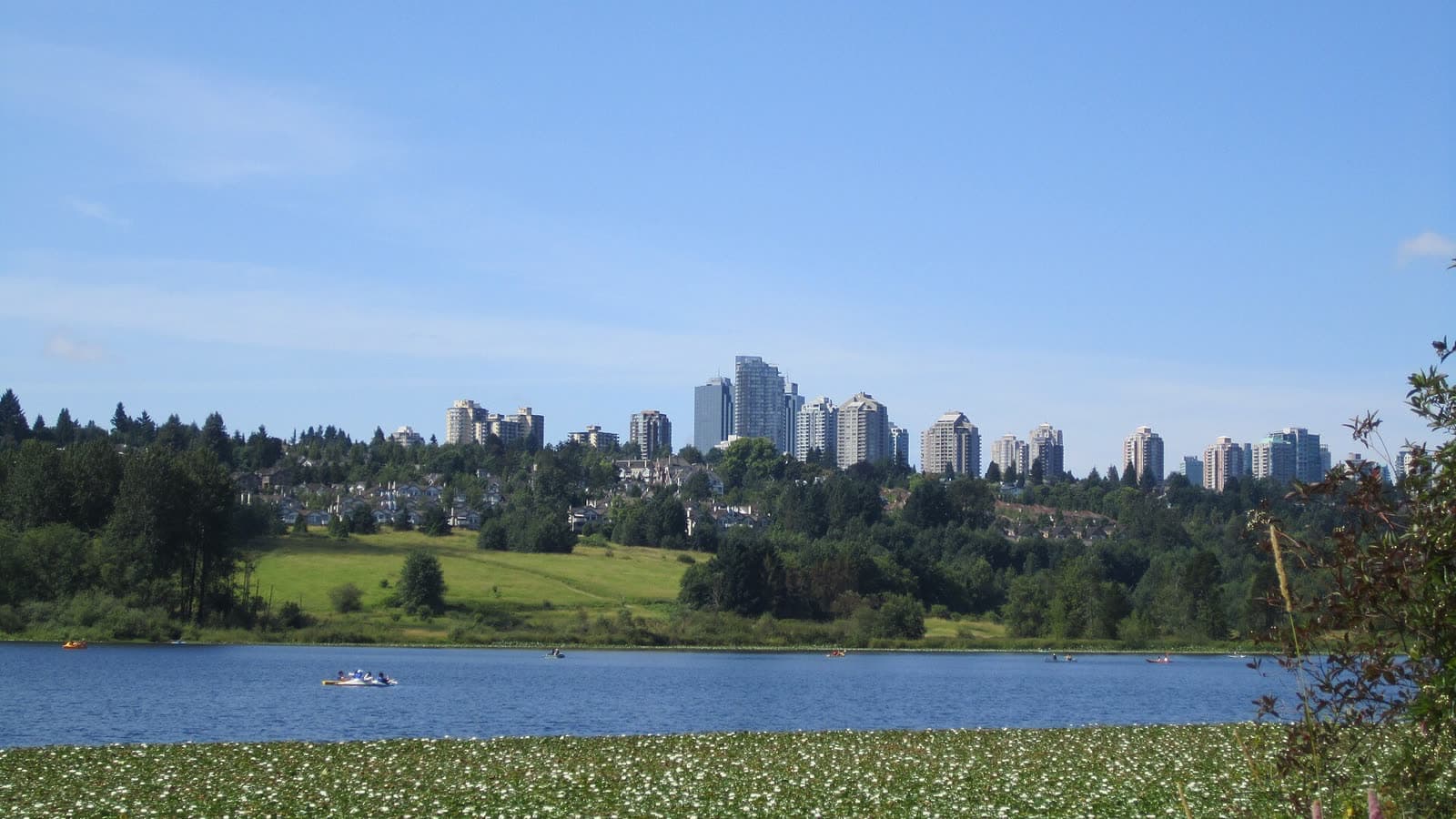 Burnaby's towers seen across Deer Lake