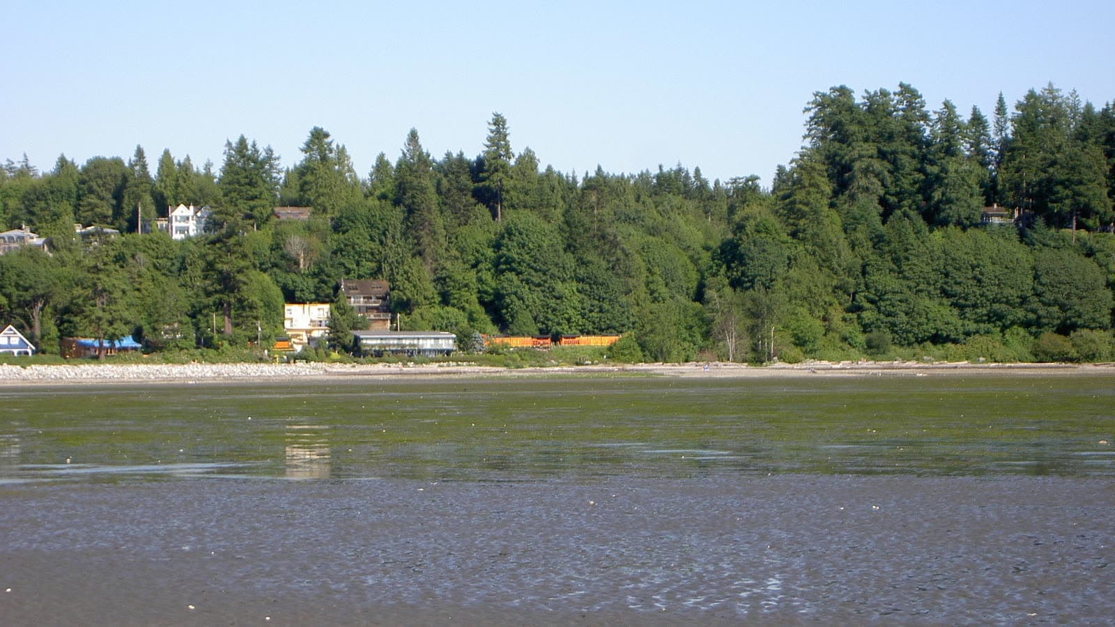 Crescent Beach, South Surrey